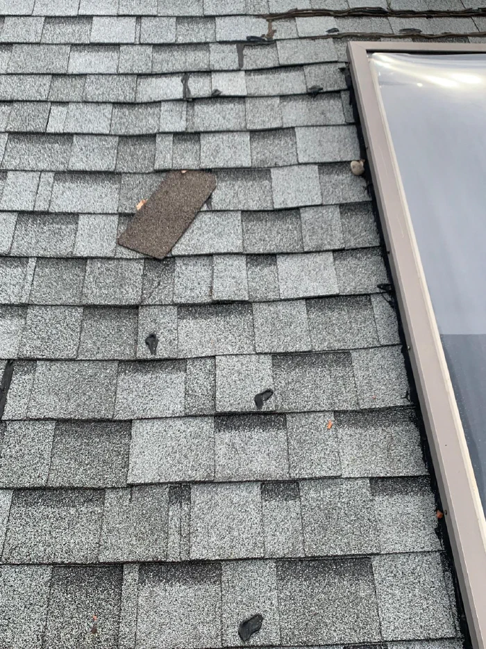 Roof Repair
